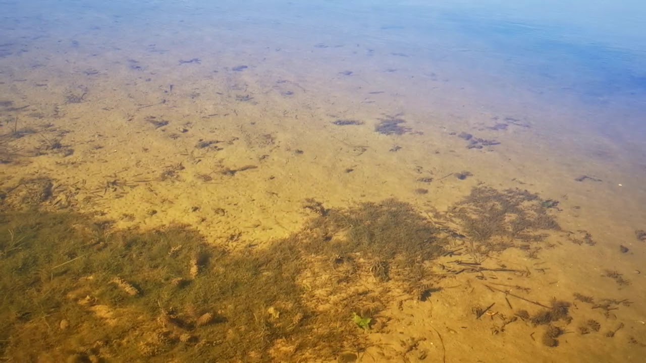 Mazury Dybowo