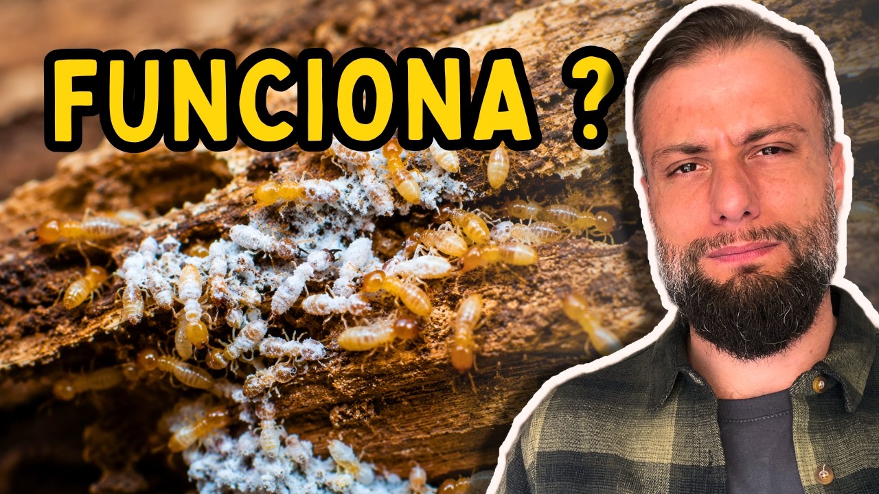 O Fungo que Mata Cupins, Baratas e Formigas? A Verdade Sobre a Beauveria bassiana