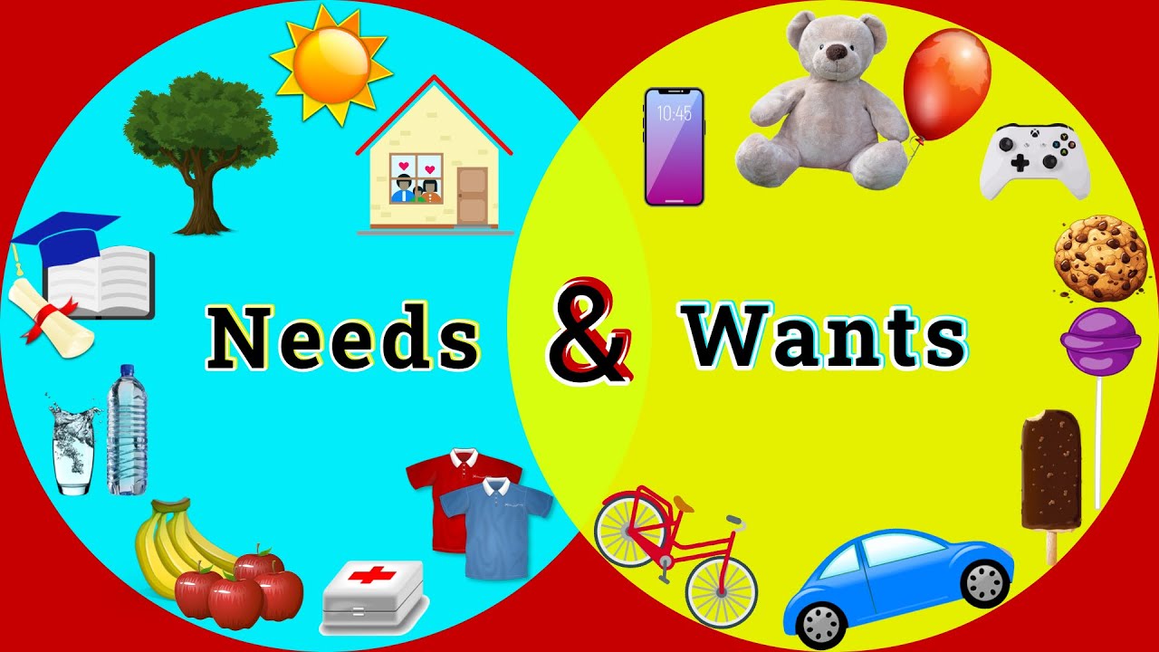 Needs and Wants for Kids | Financial Literacy | Difference Between Needs and Wants | Wants & Needs