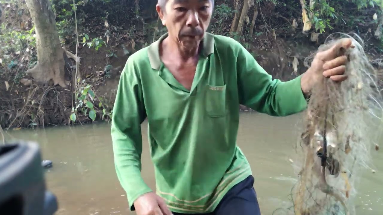 Hôm nay thả lưới được mấy em cá quá ngon