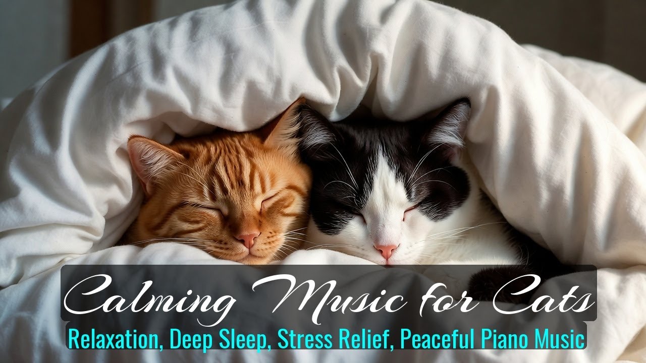 Calming Music for Cats - Relaxation, Deep Sleep, Stress Relief, Peaceful Piano Music | Season 60