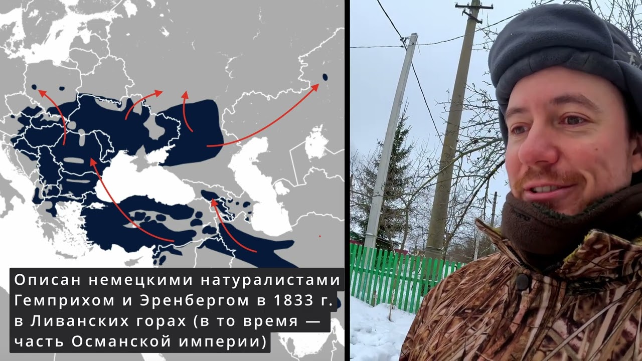 Заморский Дятел. Дневник натуралиста. 29.12.2023