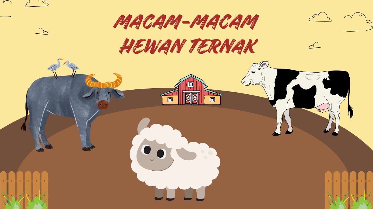 Macam Macam Hewan Ternak yang Bisa Dipelihara