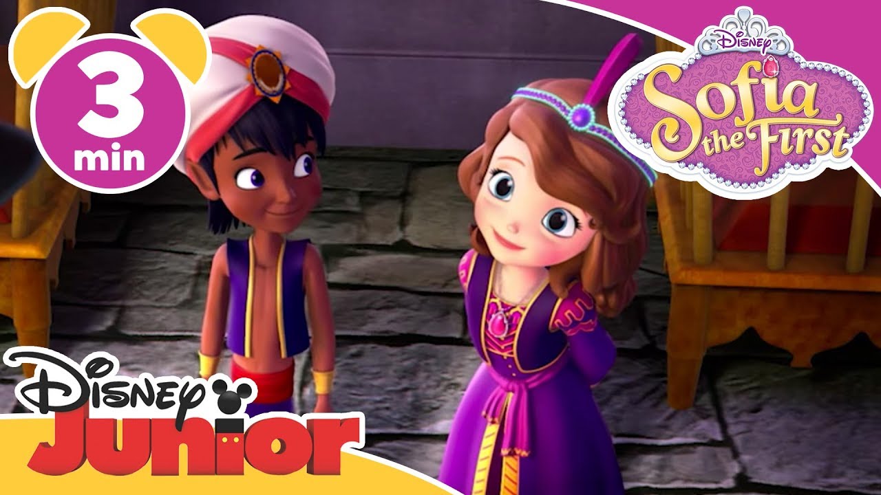 Sofia The First | Pin the Blame on the Genie | @disneykids