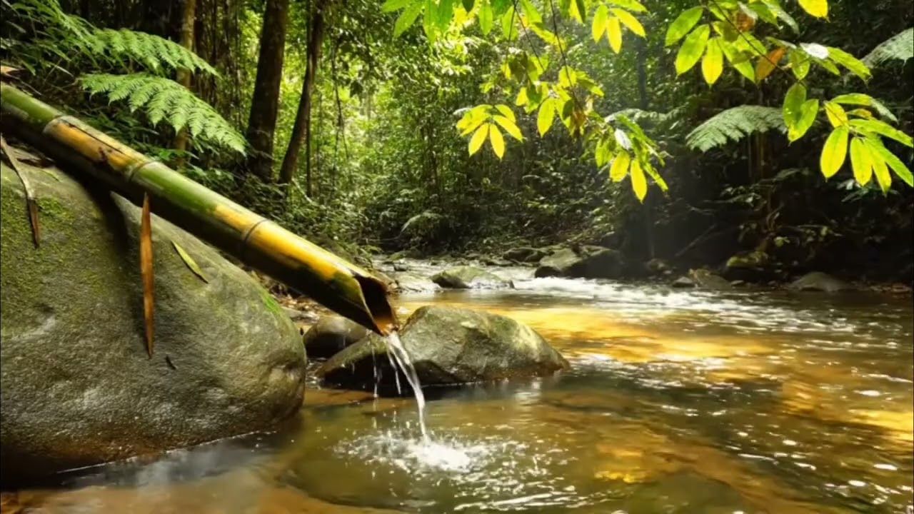 The Most Soothing Bamboo Water Sounds for a Deep and Sound Sleep