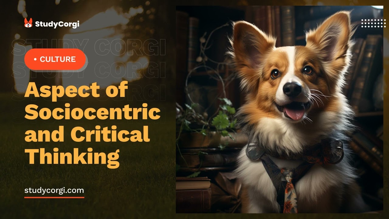 Aspect of Sociocentric and Critical Thinking - Research Paper Example