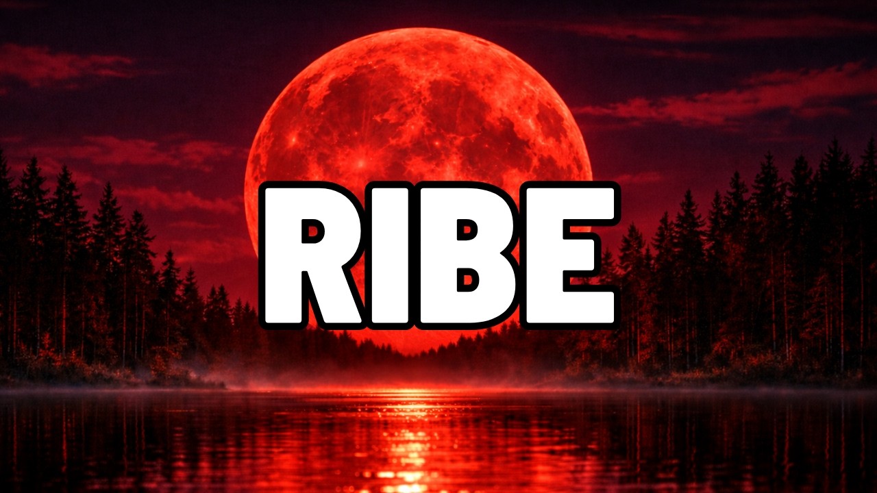 RIBE-OVO JE PRAVI PUT💖💖💖(Čitanje za Lunarnu Eklipsu 3.3.2026.)