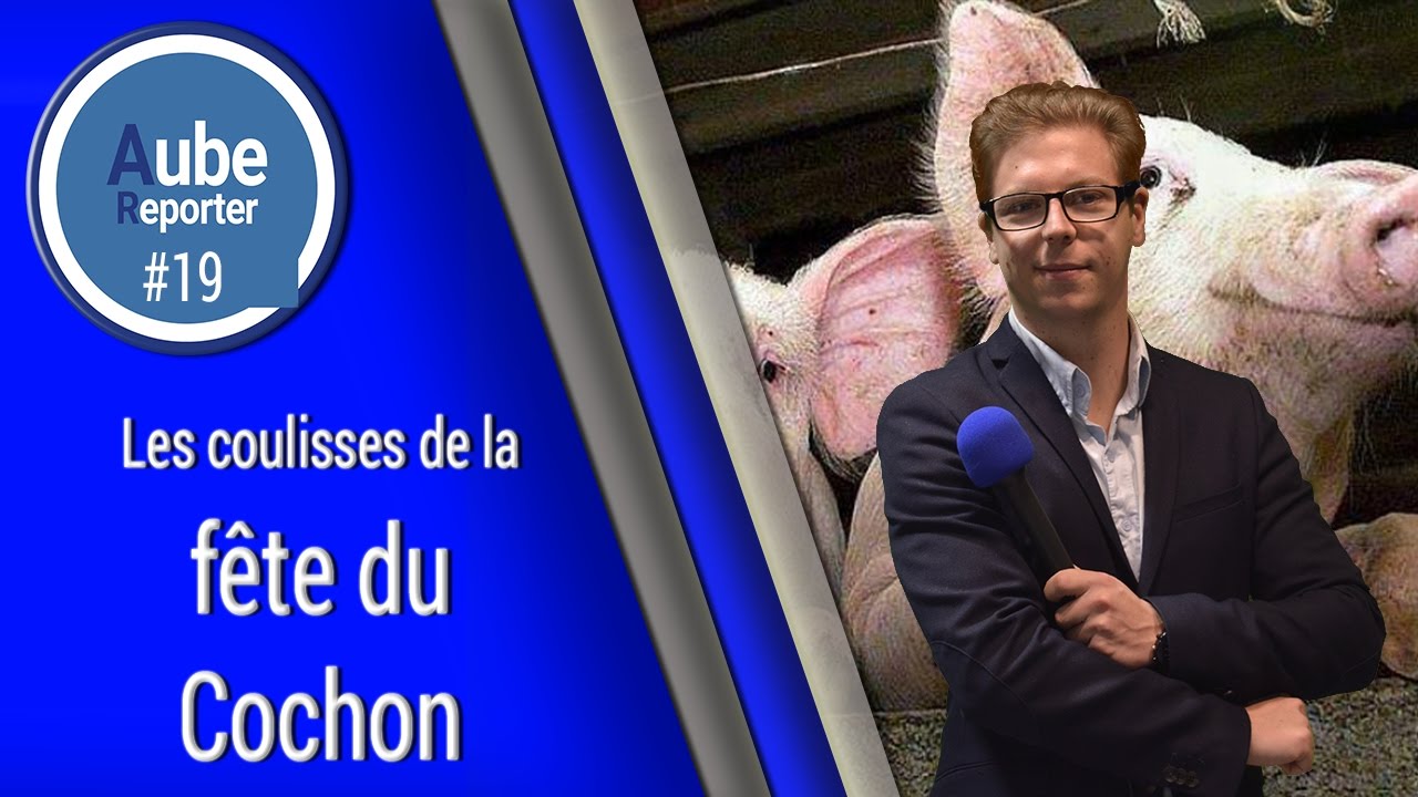 19# Aube Reporter : La F&ecirc;te du Cochon