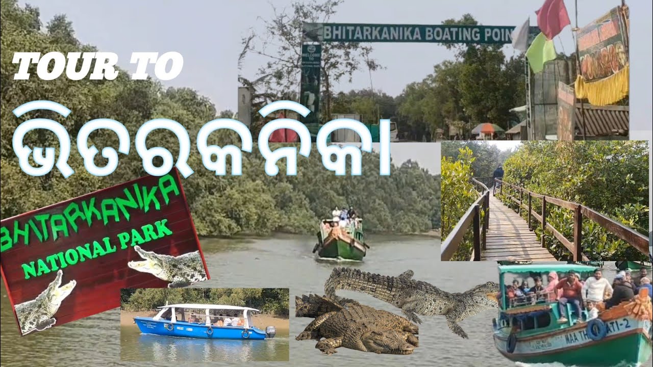 ଭିତରକନିକା || BHITRAKANIKA NATIONAL PARK || bhitarakanika toor plan full deatails || the priya vlogs