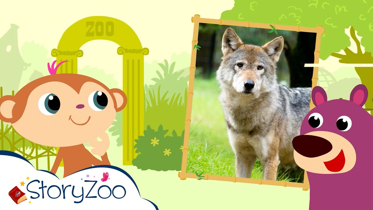 StoryZoo | Op avontuur in de Dierentuin - Wolf | Educatieve video's voor kinderen | #storyzoo