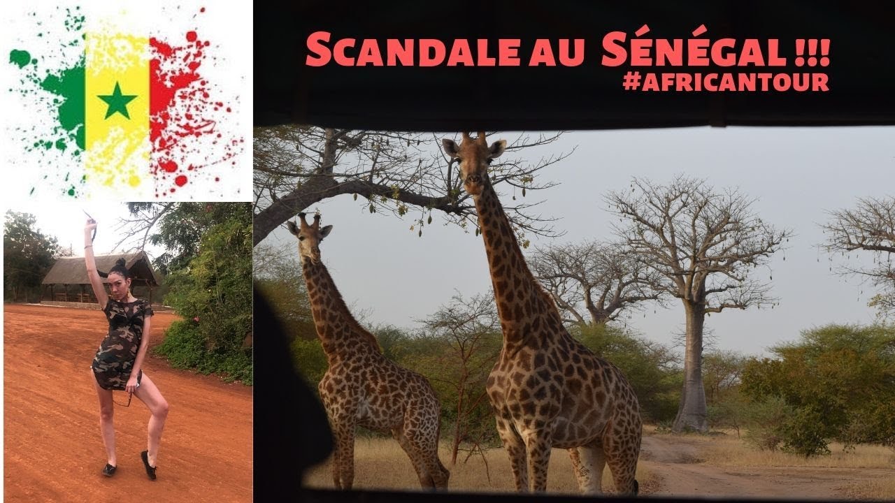 Travel diary #11 || Scandal au Sénégal || African tour #1 || Candice Maury
