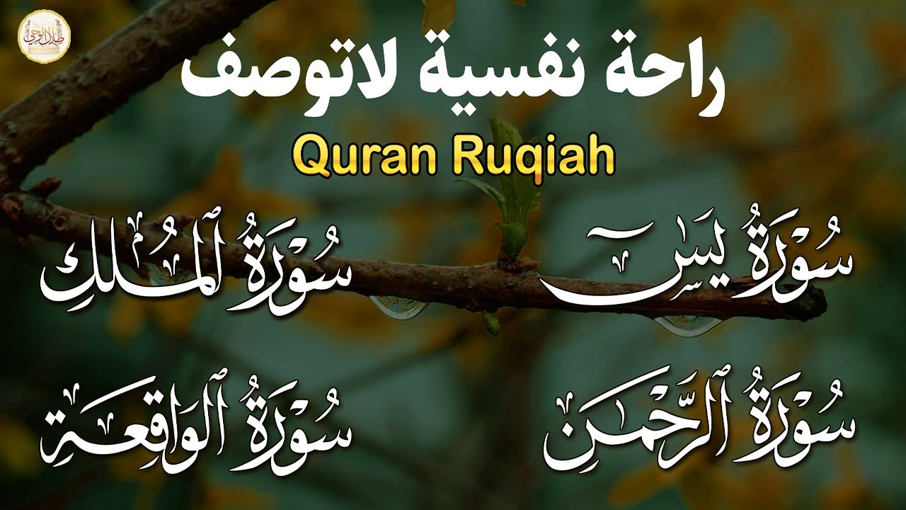 سورة يس❤️سورة الواقعة💛سورة الملك💚سورة الرحمن| سورالتحصين وزيادة الرزق والبركة بصوت هادئ مريح للقلب