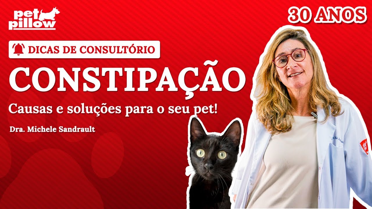 Constipação em gatos: o que fazer? | Dra. Michele Sandrault