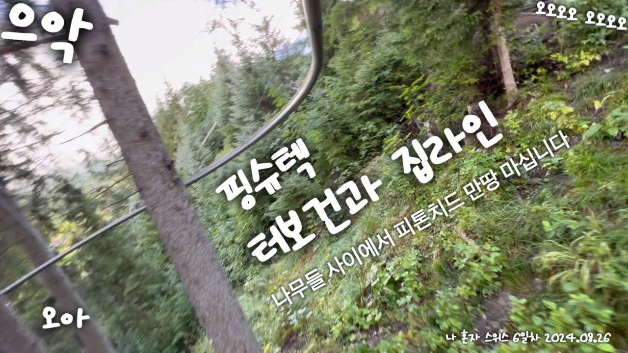 나 혼자 스위스 | 6일차 | 핑슈텍 터보건과 집라인 | 느리지만 스릴 넘치는!