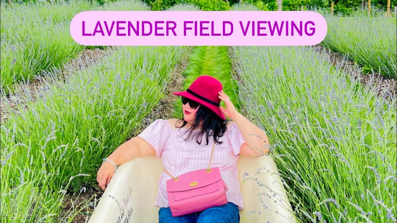 FRAGRANT LAVENDER FIELD 2021 || HAPPY DAY FARM IRON ORE, MANALAPAN, N.J.🇺🇸