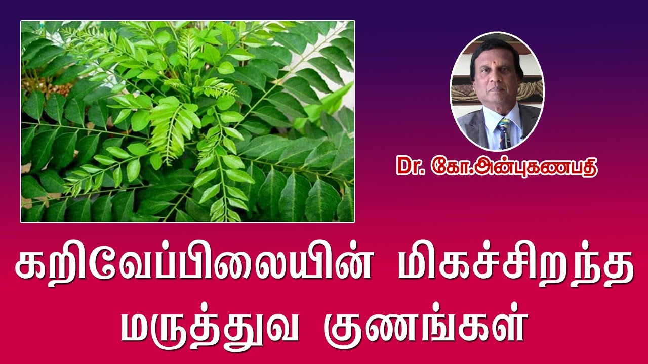 கறிவேப்பிலையின் மருத்துவ குணங்கள் | Amazing Benefits Curry Leaves