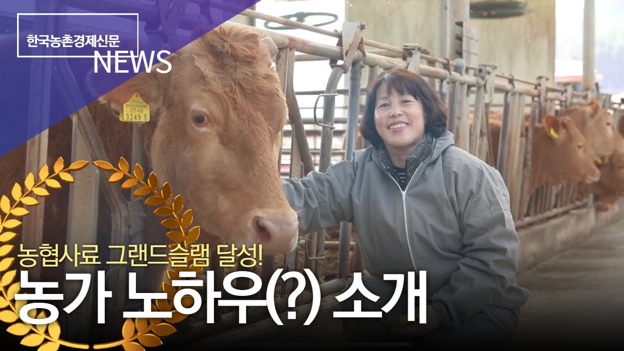 농협사료 그랜드슬램 달성...농가 노하우(?)소개