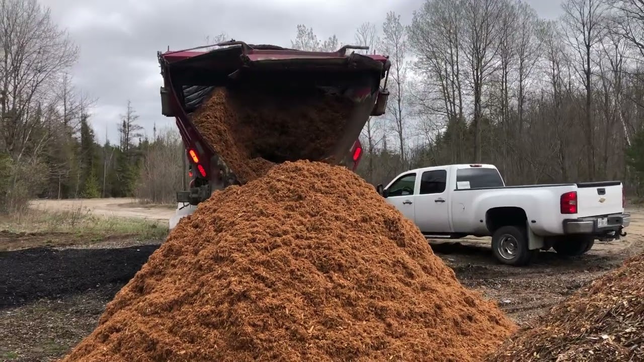 Unloading 40 yards of mulch from live bottom trailer #truck #landscaping #construction #landscape
