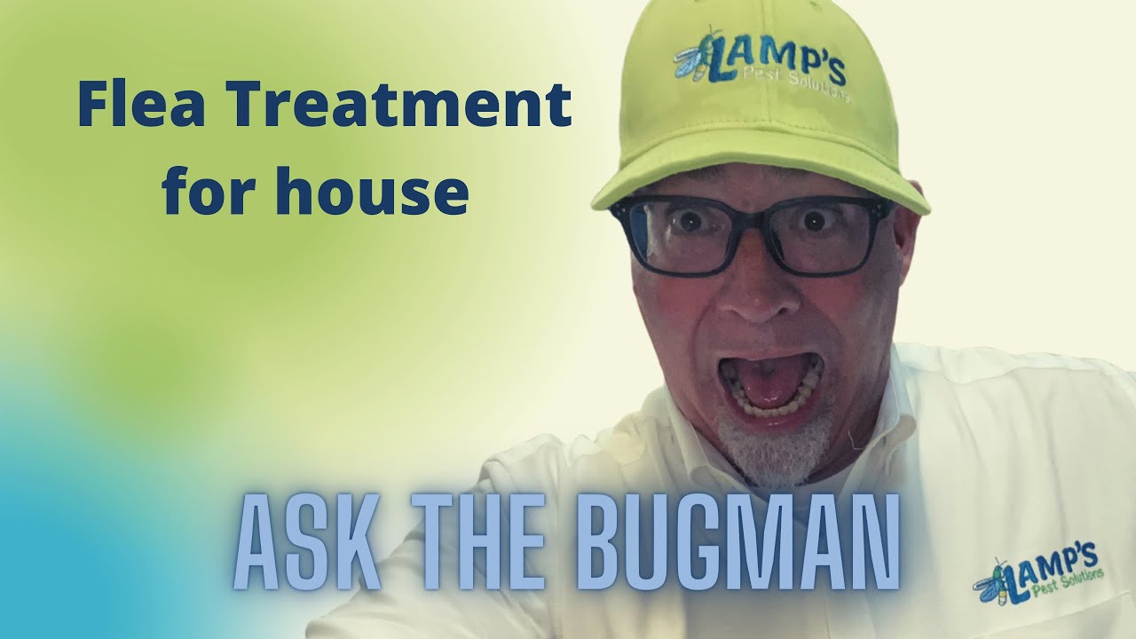Flea Treatment For House / Flea Treatment Lexington SC
