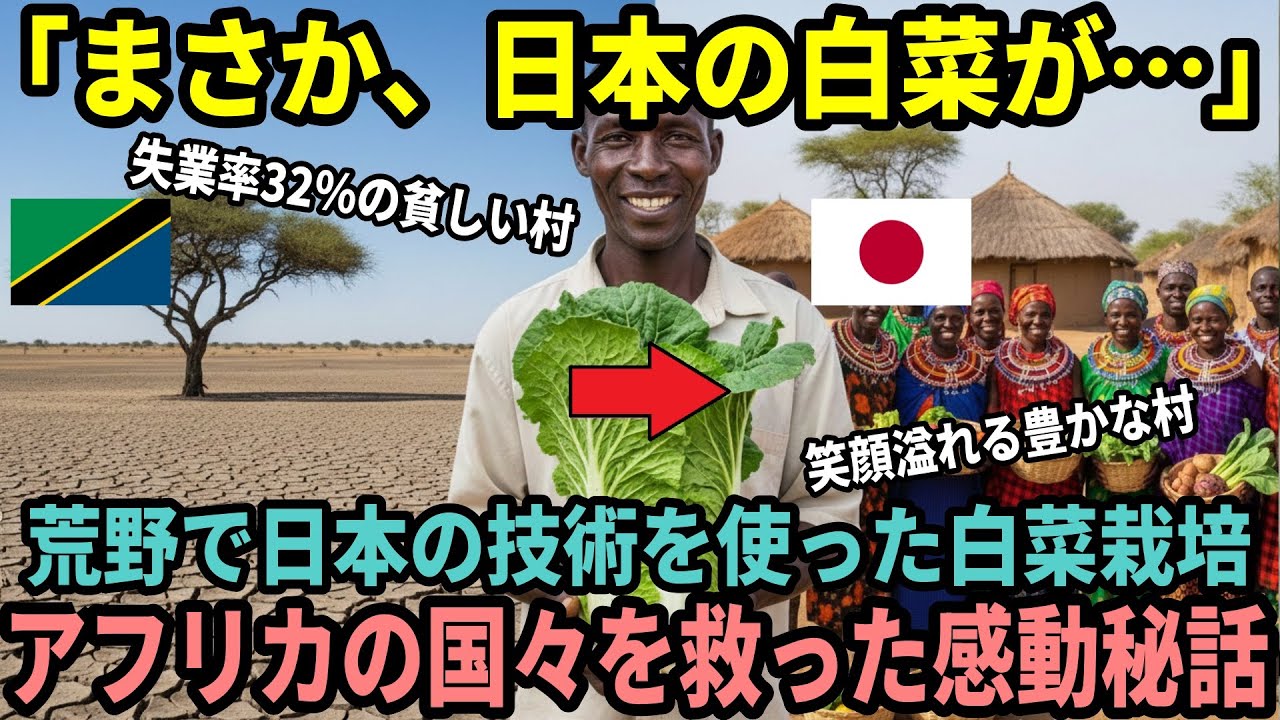 【海外の反応】日本の農業技術を学んだ青年が村を救った感動ストーリー。アフリカのタンザニアで白菜が起こした奇跡