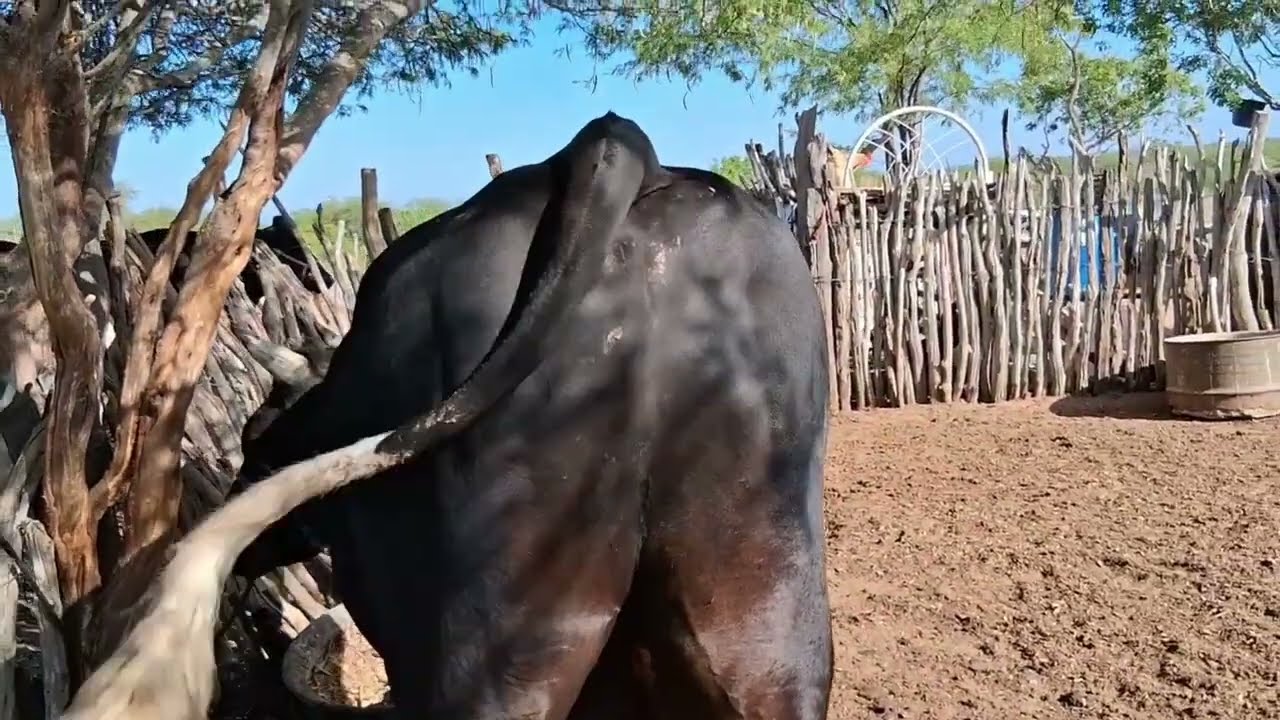 31 de dezembro de 2025