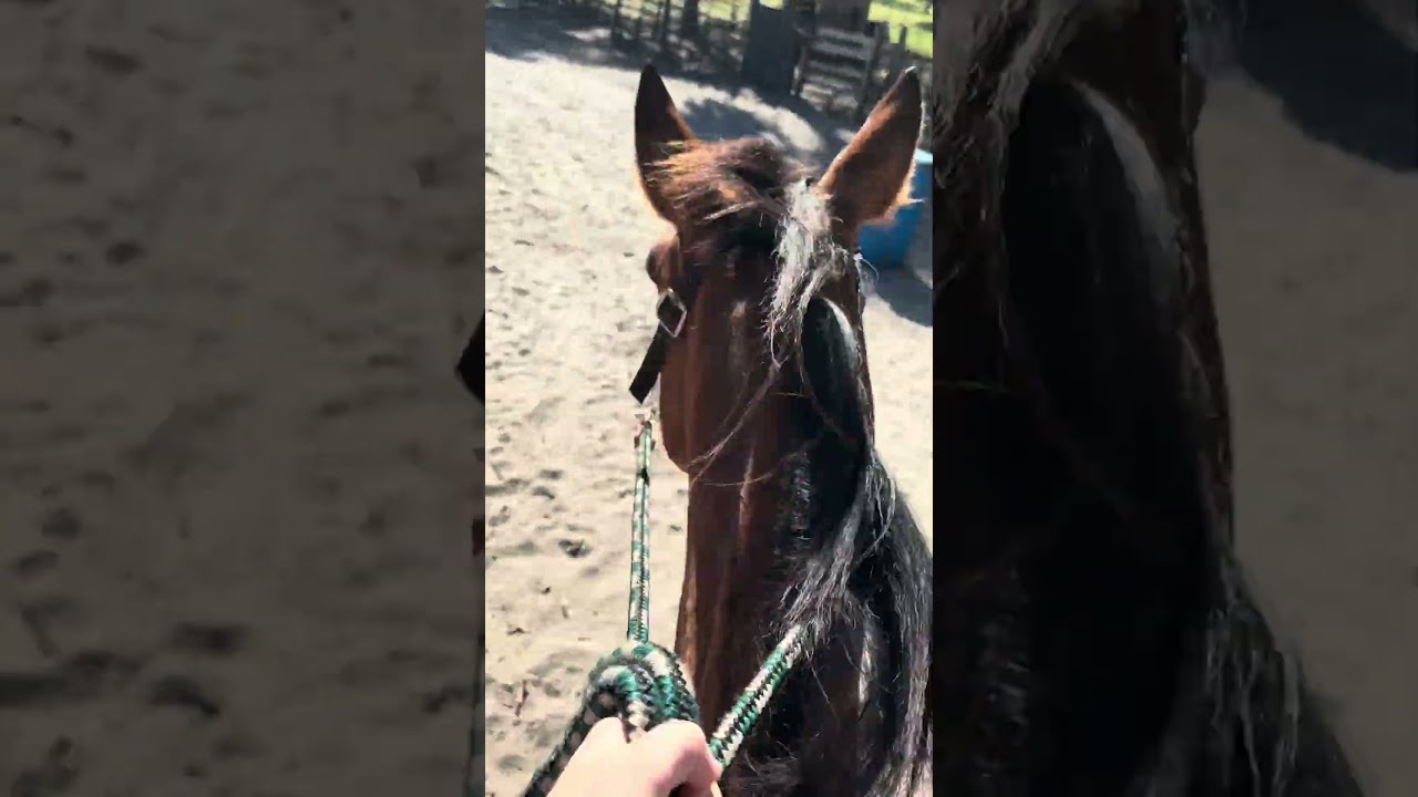 Riding vlog!