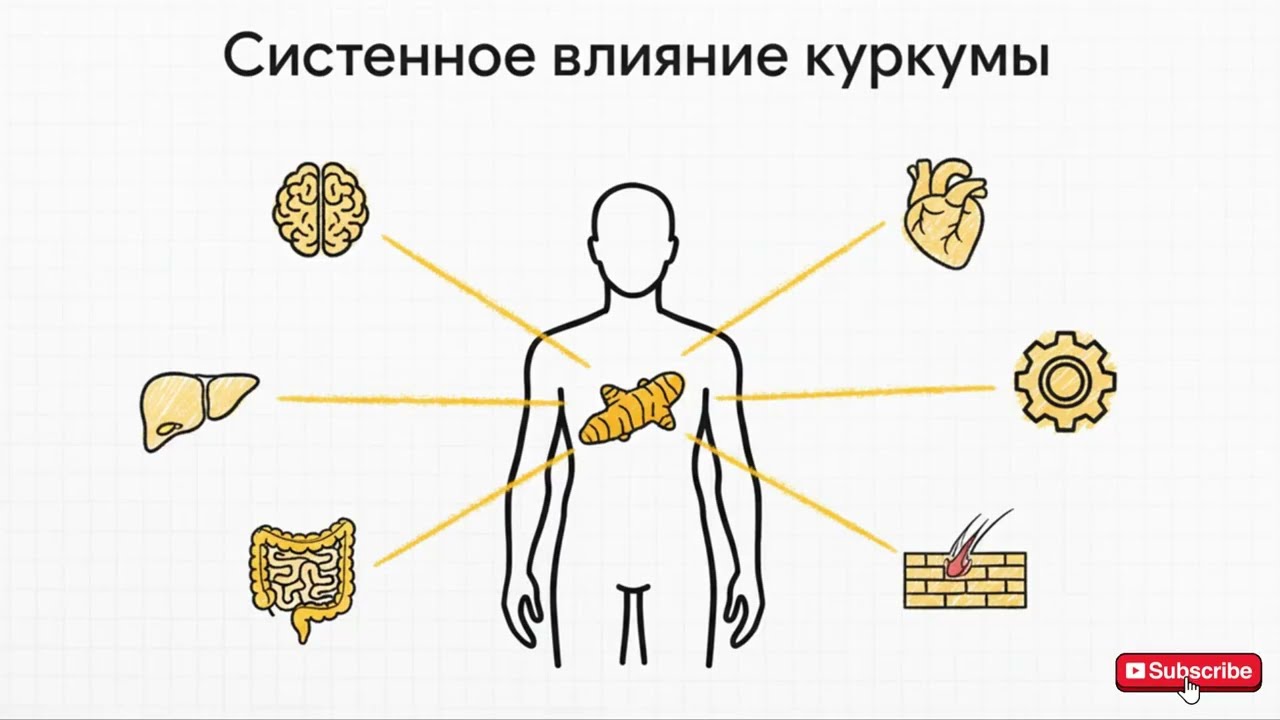 КУРКУМА — САМАЯ МОЩНАЯ СПЕЦИЯ НА ПЛАНЕТЕ! 5 НАУЧНЫХ ПРИЧИН, ПОЧЕМУ ЕЁ ДОЛЖЕН ЕСТЬ КАЖДЫЙ ДАЖЕ ТЫ!
