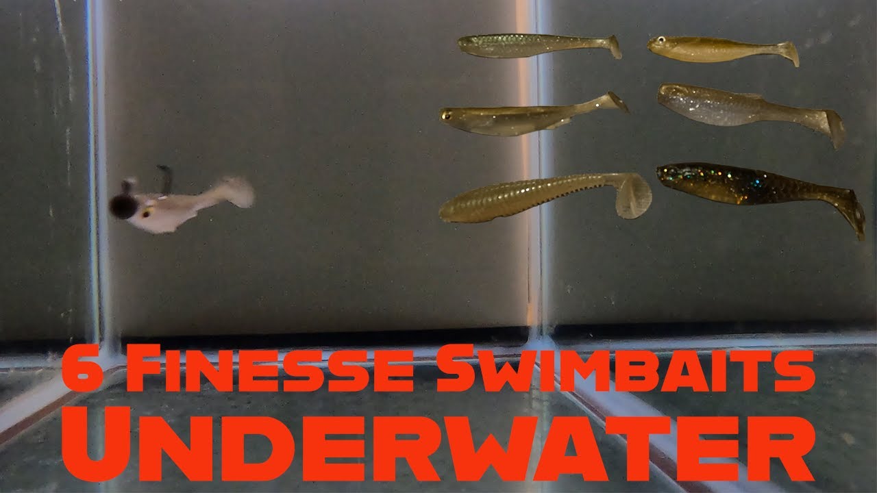 Testing 6 Finesse Swimbaits Underwater
