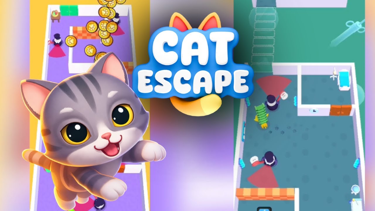 Try Watching Both Screens at Once 🤯 | Satisfying Cat Escape Gameplay