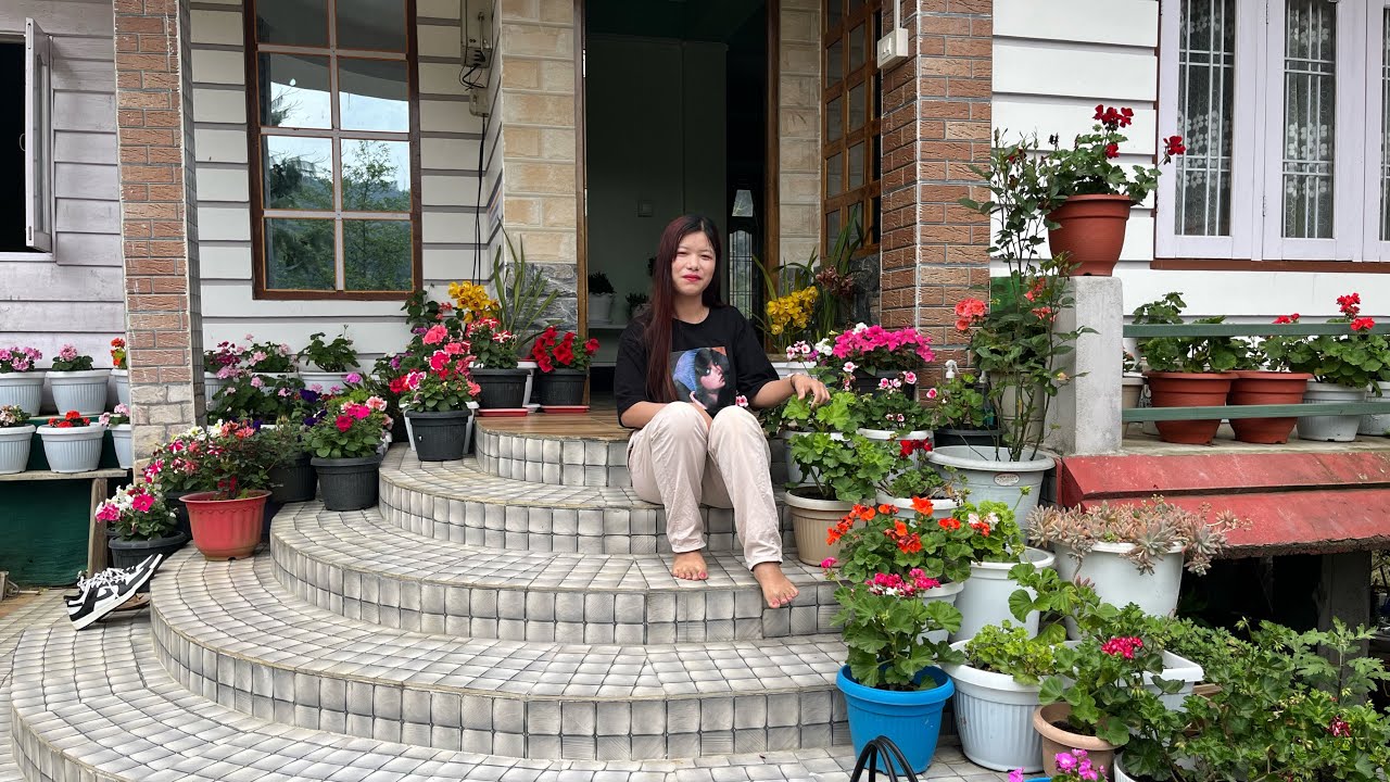 Apu Byantu nursery ll For Flower’s lovers 🌺 @Ziro Valley || NorthEast