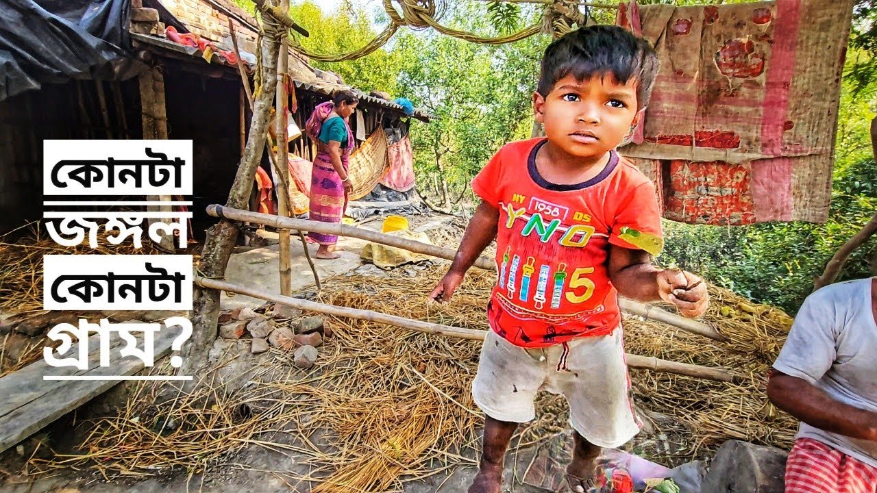 বেলা ডুবলেই শাঁখ-ঘন্টা বাজিয়ে সদড় দরজা বন্ধকরে দেই🐅😱| Sundarban Tiger Attack | Sundarbans