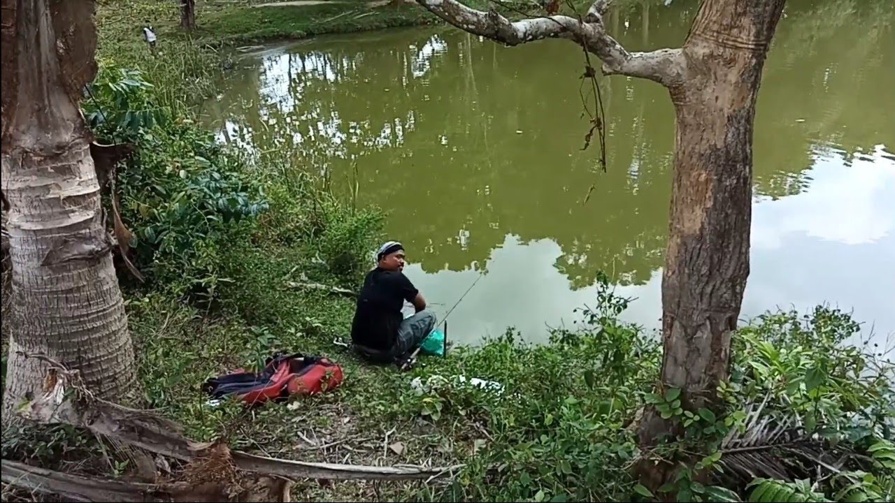 Lihat Yang Dilakukan Balikin Kelor Saat Mancing Diempang !!