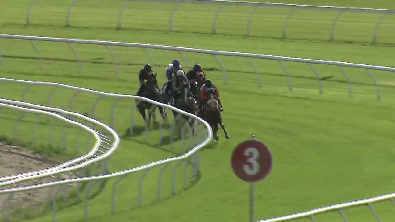 Heat 3   Doomben Jumpouts 2701