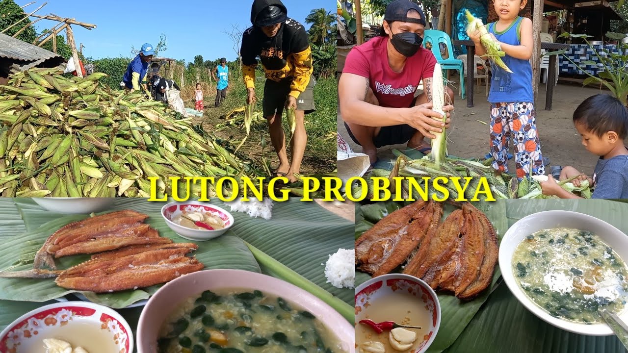 Ginulay na Mais at tulisang pugot | farm to table| lutong probinsya