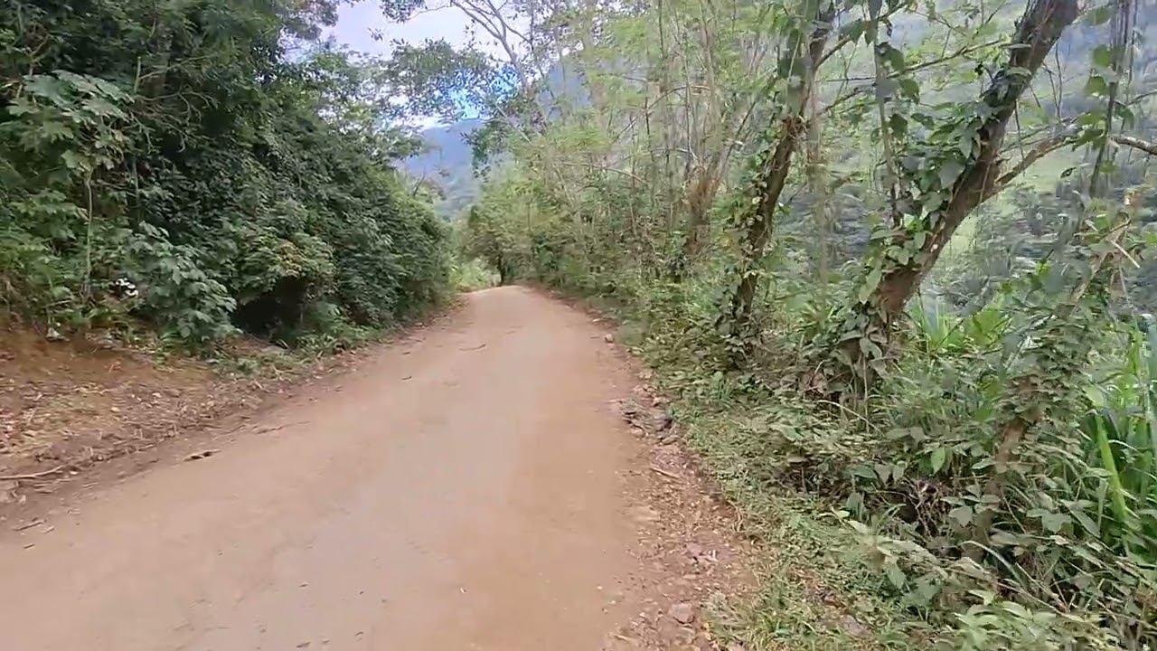 Bonita carretera y paisaje