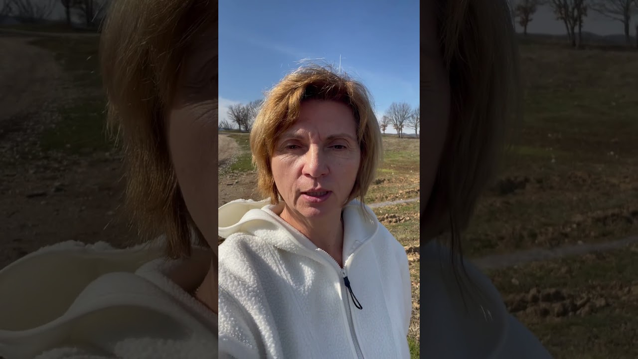 Болгария. Пора начинать#shortvideo #schort