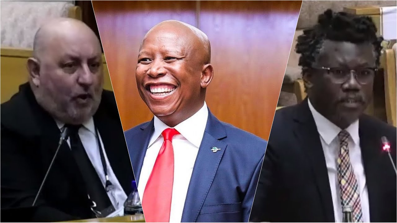 Adv Tembeka Ngcukaitobi defending Julius Malema in Parliament. Powers & Privileges Committee.