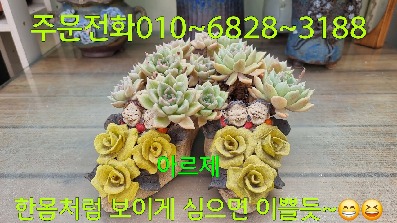 (26.3.4.수)이쁨 이쁨요~😁😆
