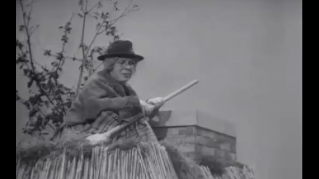 Vrouwtje Bezemsteel   1964 - 1967