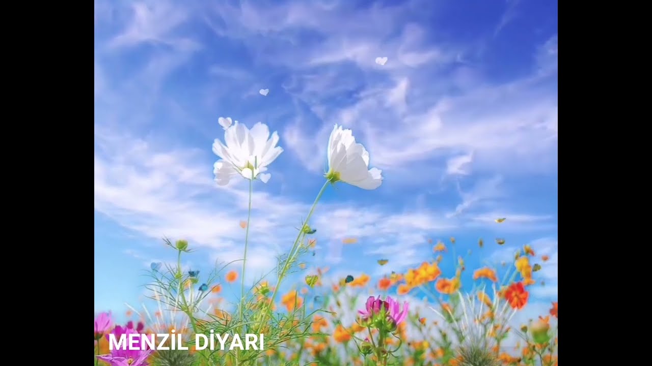 Molla Ahmet Hoca (Salih Amel)