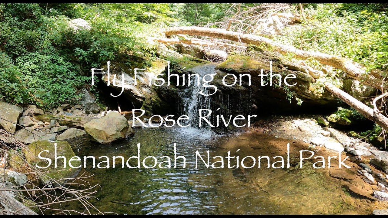Fly Fishing on the Rose River - Shenandoah National Park