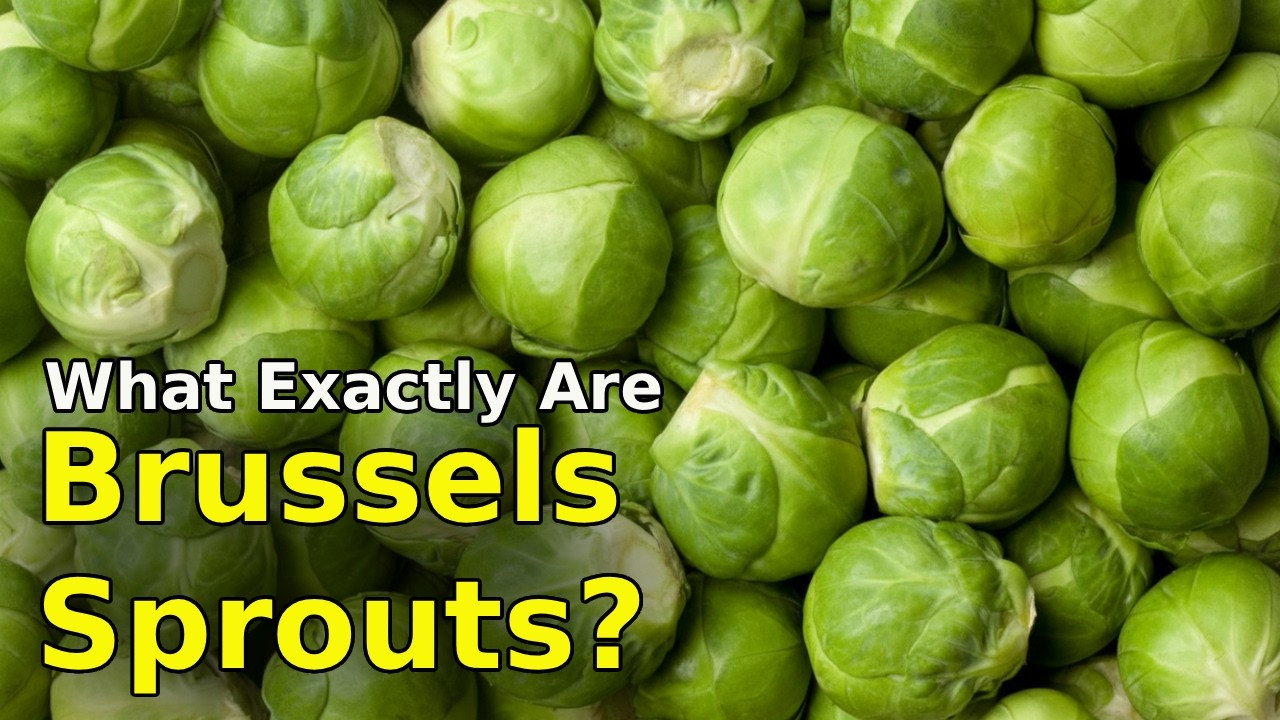 What Exactly Are Brussels Sprouts? Why Everyone Hated Them