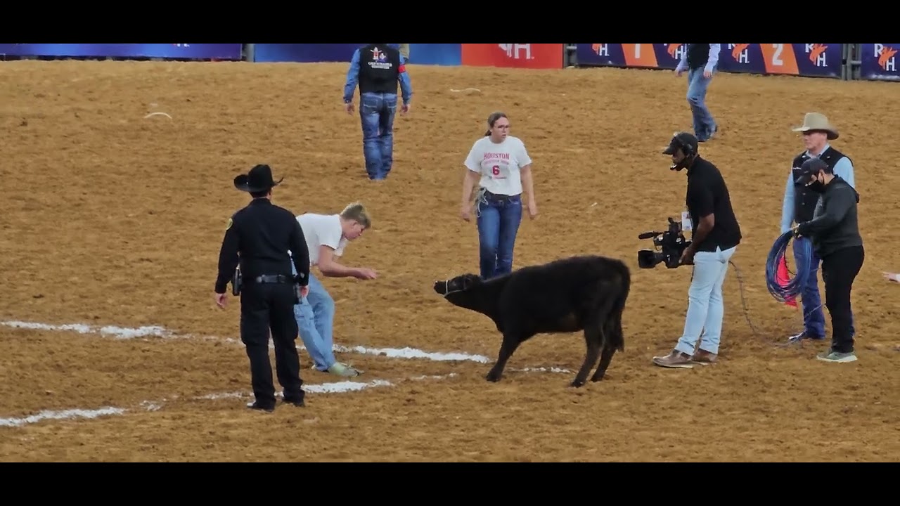 Calf Scramble on Night #6 of Houston Rodeo 2023
