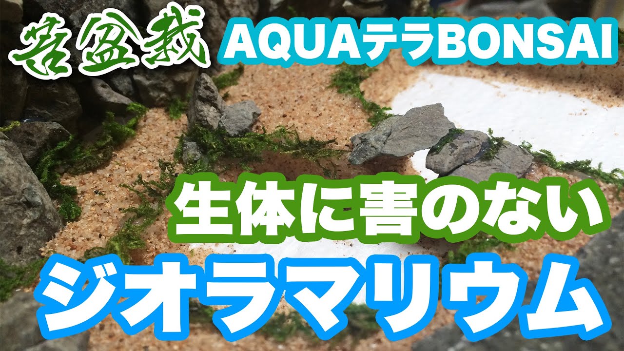 苔盆栽アクアテラリウム#4 生体に害のない ジオラマリウム制作 【AQUAテラBONSAI~コラ盆栽~】