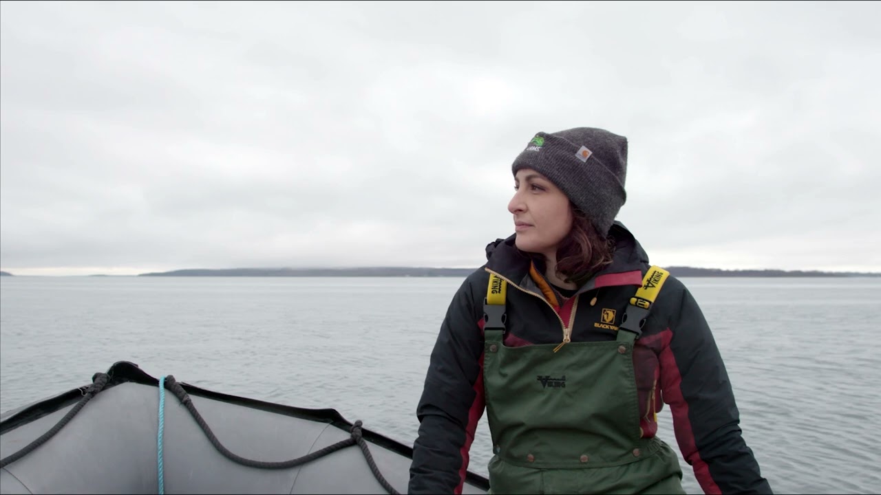 Seaweed Farming: Atlantic Sea Farms on Regenerative Aquaculture | Women Entrepreneurs Podcast
