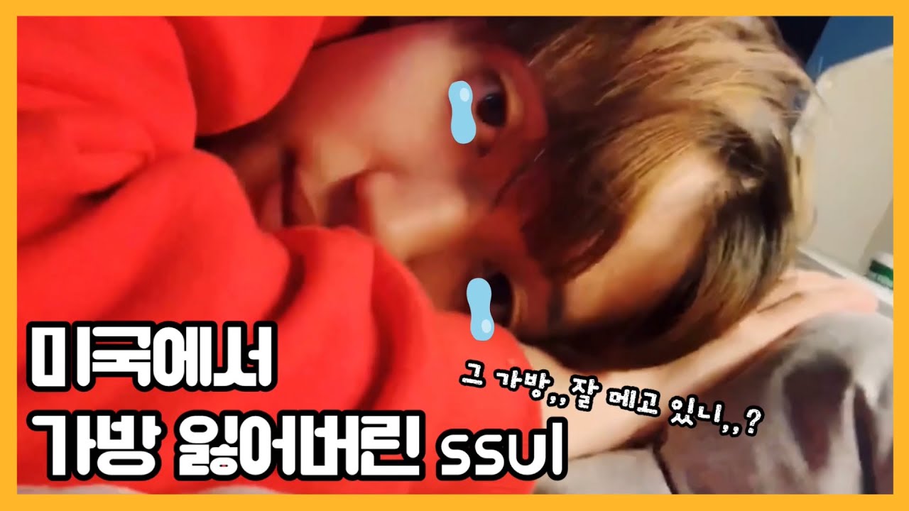 [틴탑 니엘] 미주 투어 하다가 가방 도둑 맞은 썰 푼다