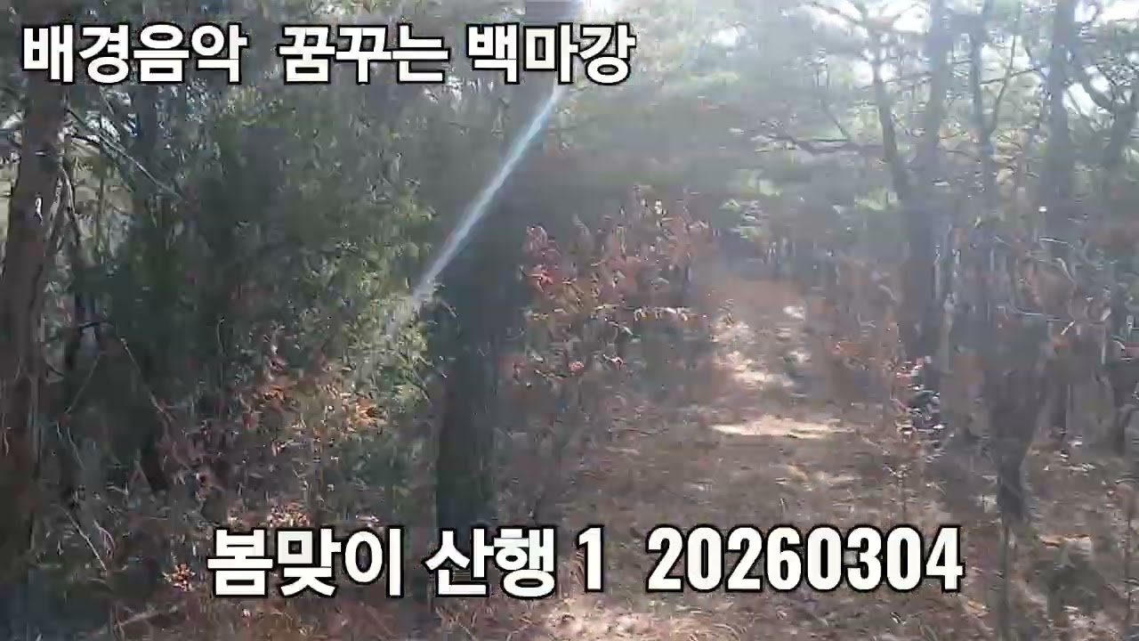 봄맞이 산행 1