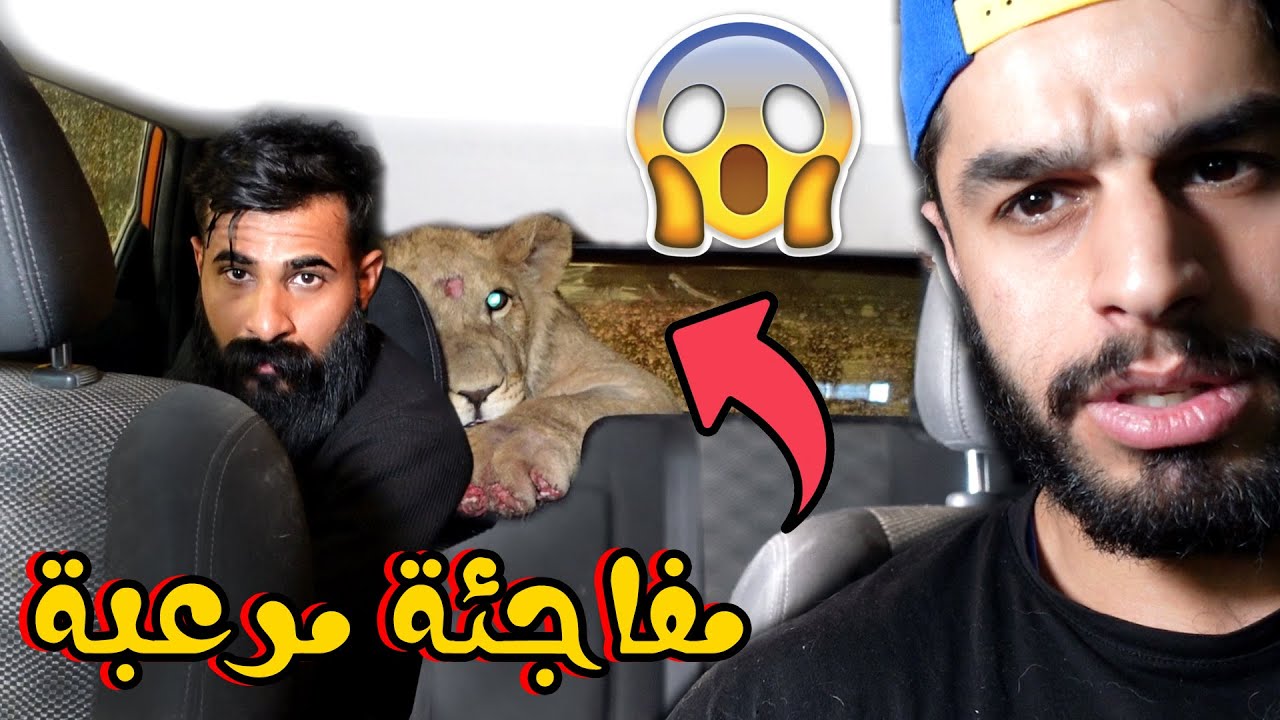 مقلب بصديقي الاسد كاعد بظهرة وما يدري 😂 