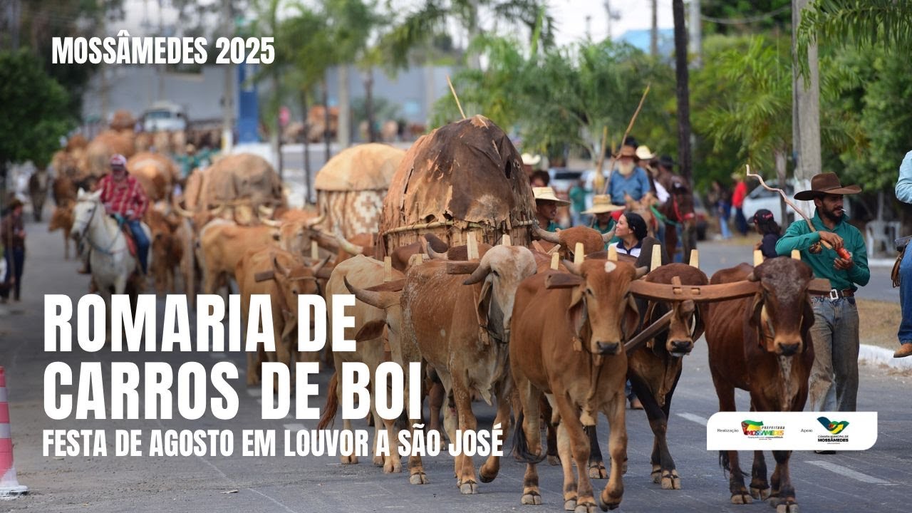 Carreiros de Mossâmedes: No Caminho da Fé