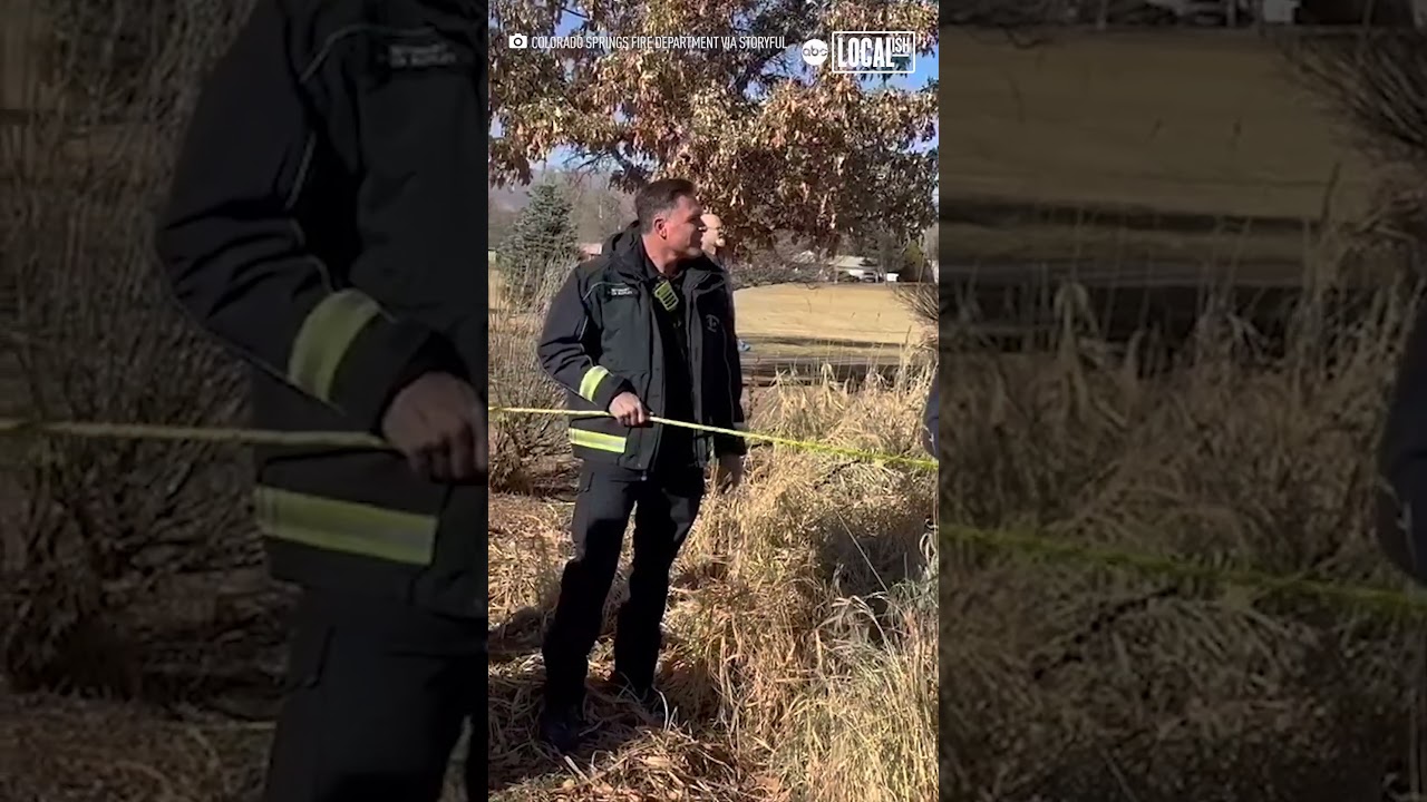 Firefighter rescues dog from frozen lake